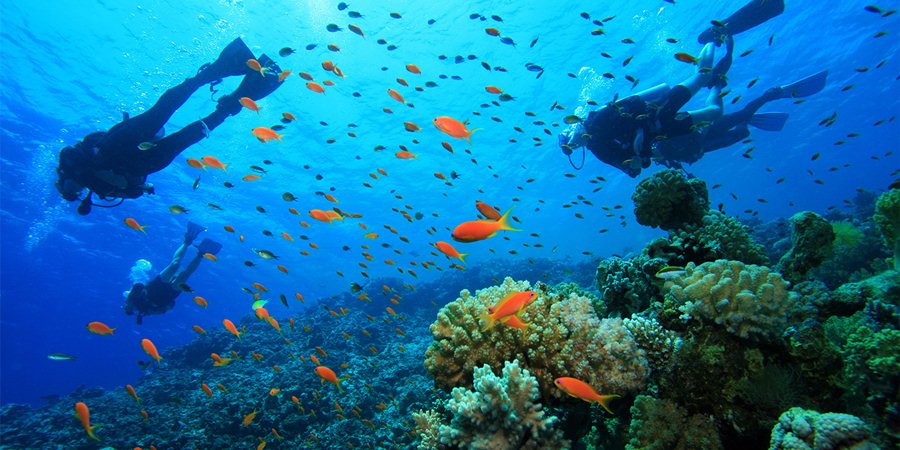 Дайвинг в Сиде: Лучшие туры в Сиде